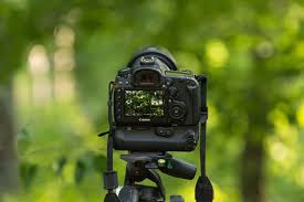 images (1)